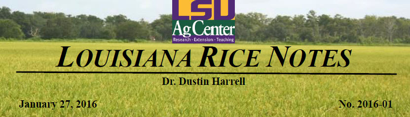 2016 Rice Field Notes #1